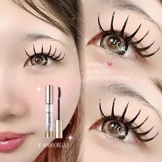 マツエク・マツパ Apis🎀 愛媛/松山のマツエク・マツパデザイン