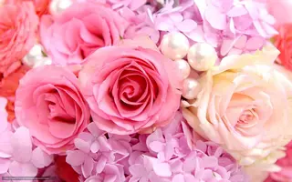 waxing salon fiora(ワクシング サロン フィオラ)所属・wax fioraのエステ・リラクイメージ