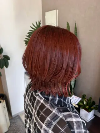 ミディアム 🤍レイヤーツヤカラ ーAkane🇰🇷のヘアスタイル