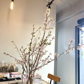 ショート カラー ヘアアレンジ ROCCOeast Rukaのヘアスタイル