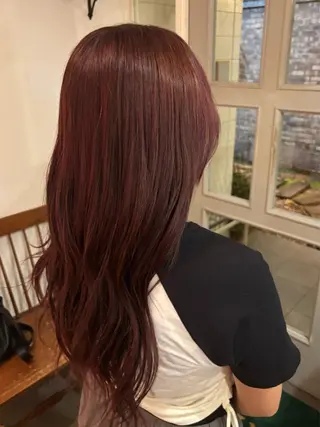 ロング カラー 長谷川 澄のヘアスタイル