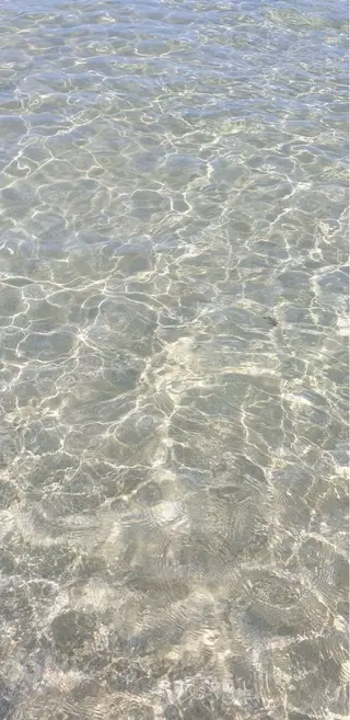 ショート NEST by chord （ネストバイコード）所属・🤍tomoka 🤍のヘアスタイル