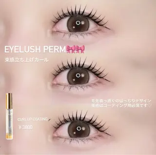 マツエク・マツパ eyelash aimyまつげパーマ・パリジェンヌ・マツエク・眉毛・バインドロック 伏見店所属・𝐘𝐔𝐈𝐍𝐀 🤍🎀のマツエク・マツパデザイン