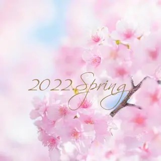 マツエク・マツパ Sylph　井関 唯のマツエク・マツパデザイン