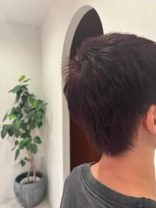 メンズ 西村 錬之介のヘアスタイル