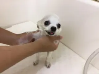 ネイル マツエク・マツパ mayury salon 所属・mayury salonのエステ・リラクイメージ