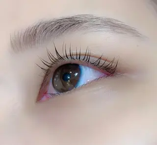 マツエク・マツパ Lanhr所属・【Lanhr】 🕊aya🕊のマツエク・マツパデザイン