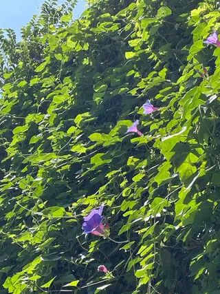 プライベートサロン 花水月のエステ・リラクイメージ