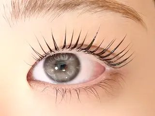 マツエク・マツパ 🕯️ｈａｒｕ 🕯️の眉毛・アイブロウイメージ