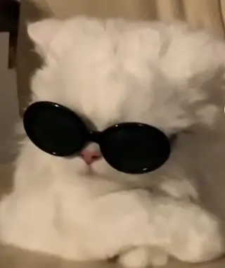 アイブロウ アイブロウ専門店  エサージュ横浜店所属・アイブロウモデル募集 /mana🎀🤍の眉毛・アイブロウイメージ