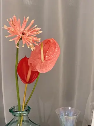 アイブロウ erika __.eyelashの眉毛・アイブロウイメージ