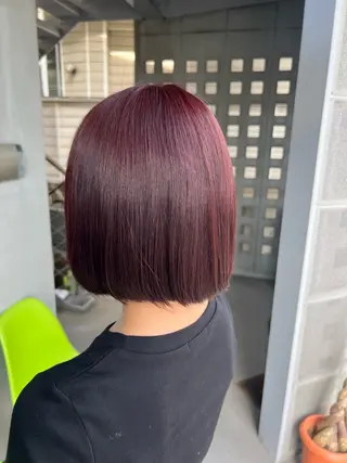 ショート カラー 菅野 杏実のヘアスタイル