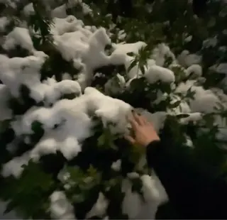 マツエク・マツパ eyelash&nail　Liora所属・Liora川越 YUIのマツエク・マツパデザイン