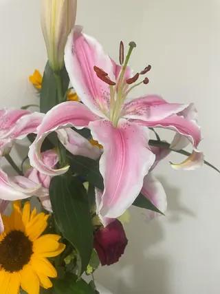 パーマ ネイル マツエク・マツパ 香里園 eyelashNonのマツエク・マツパデザイン