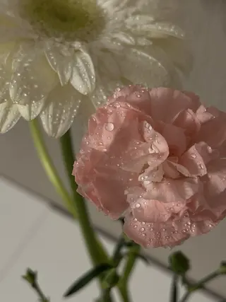 🦋 Natsumiのマツエク・マツパデザイン