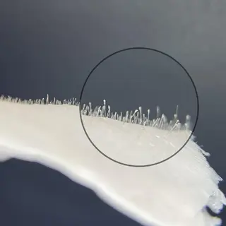 Private salon〜Lilie〜所属・プライベートサロン yurikoの眉毛・アイブロウイメージ