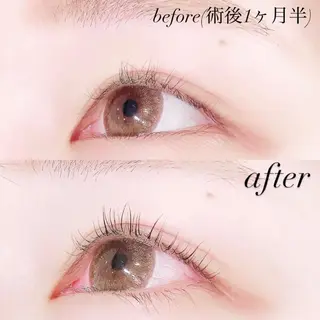 マツエク・マツパ Lanhr所属・【Lanhr】 🕊aya🕊のマツエク・マツパデザイン