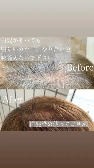 ショート カラー ハットリ /北習志野のヘアスタイル