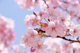 Ciel～天国リラクゼーションサロン～所属・極上体験～Ciel～ 今井 いちごのエステ・リラクイメージ