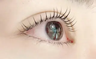 マツエク・マツパ 【那覇/束感まつ毛】 キャメルのマツエク・マツパデザイン