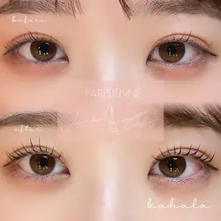 マツエク・マツパ Fujimoto 🦭⸝⋆꙳のマツエク・マツパデザイン