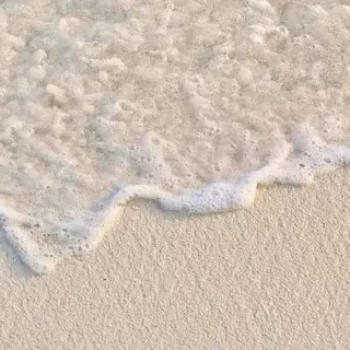 🌐　BIANCA endo 　🌐のマツエク・マツパデザイン