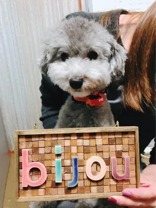 ベテランの☺️ マツエク🙆‍♀️のマツエク・マツパデザイン