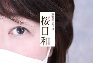マツエク・マツパ 京都のまつげ桜日和 小島美桜のマツエク・マツパデザイン