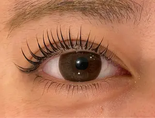 マツエク・マツパ Daisy lash 京橋店堀井のマツエク・マツパデザイン