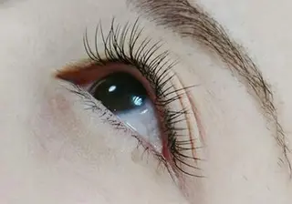 マツエク・マツパ アネラ 北本店のマツエク・マツパデザイン