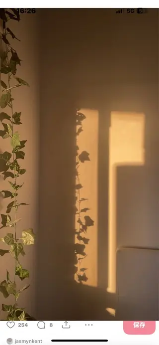 Mana ·͜·ᰔᩚのマツエク・マツパデザイン