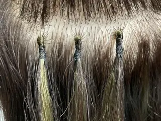 シールエクステ 編み込み YURIEのヘアスタイル