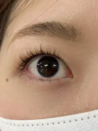 マツエク・マツパ TRU 🎀ANNAの眉毛・アイブロウイメージ