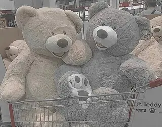 Neige所属・Neige 𓂃 aiのネイルデザイン