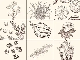 近藤 由美のエステ・リラクイメージ