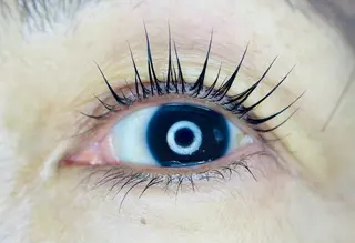 マツエク・マツパ L🎀リアン サロンのマツエク・マツパデザイン