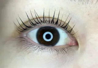 マツエク・マツパ TReiS所属・TReiS eyelashのマツエク・マツパデザイン