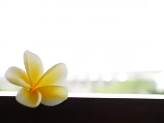 足つぼ&温活アロマ みどりの時間のエステ・リラクイメージ