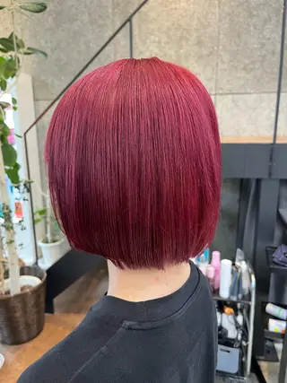 ショート カラー ヘアアレンジ 髪質改善・艶カラー・ ボブ・リクト💥のヘアスタイル