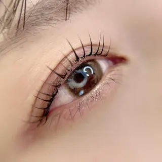 マツエク・マツパ ecru. eyelashのマツエク・マツパデザイン