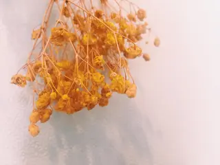 マツエク・マツパ utaeyelash所属・中川 朋美のマツエク・マツパデザイン