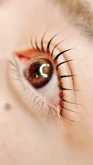 マツエク・マツパ Amor所属・AMOR EYELASHのマツエク・マツパデザイン