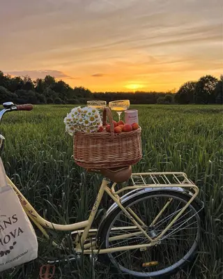 マツエク・マツパ No.3 前橋店所属・ひなの 🌼のマツエク・マツパデザイン