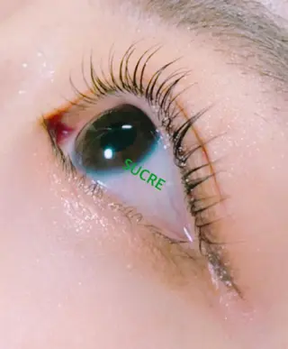 マツエク・マツパ EyelashSalon Liz.&所属・Liz.&現ino 平田のマツエク・マツパデザイン