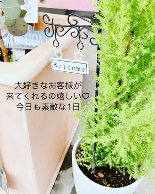 メナード熊本 嘉島のエステ・リラクイメージ