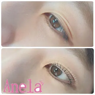 マツエク・マツパ Anela柏店🌷 Hikari🌷のマツエク・マツパデザイン