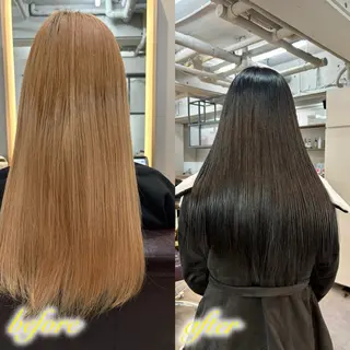 セミロング 💎艶髪／美髪特化 世麗💎のヘアスタイル