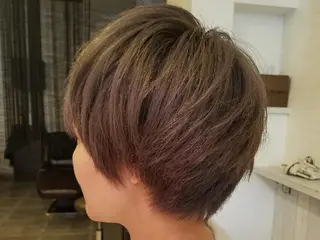 ショート 坂本 純子のヘアスタイル