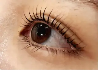 マツエク・マツパ Celeste Venus所属・🧸Celeste Venusのマツエク・マツパデザイン