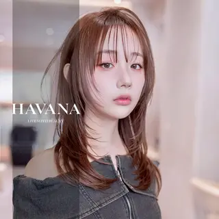 ミディアム カラー ill havana 【レイヤー/韓国】のヘアスタイル